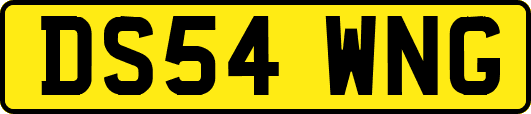 DS54WNG