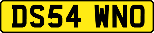 DS54WNO