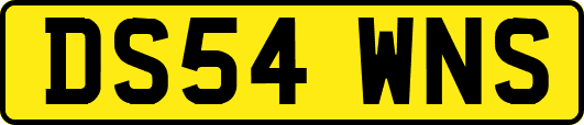 DS54WNS