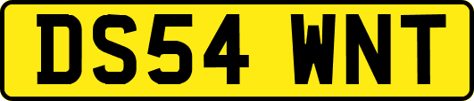 DS54WNT