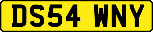 DS54WNY
