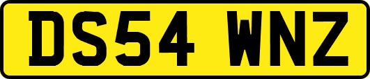 DS54WNZ