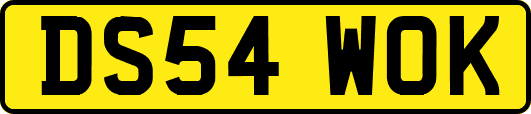 DS54WOK