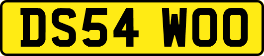 DS54WOO