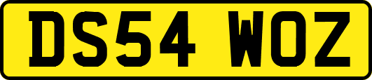 DS54WOZ