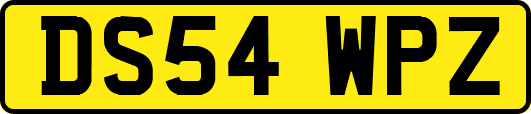 DS54WPZ