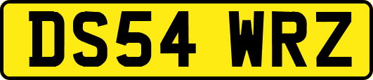 DS54WRZ