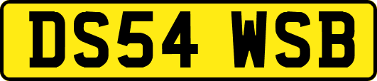 DS54WSB