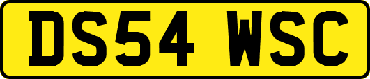 DS54WSC