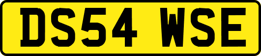 DS54WSE