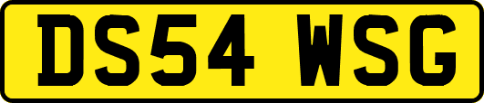 DS54WSG