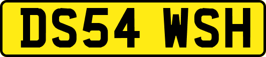DS54WSH