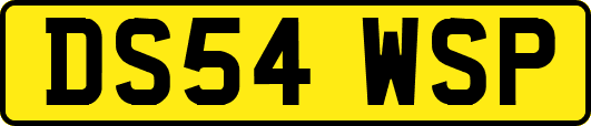 DS54WSP