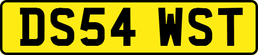 DS54WST