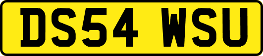 DS54WSU