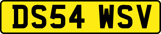 DS54WSV