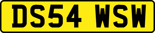 DS54WSW