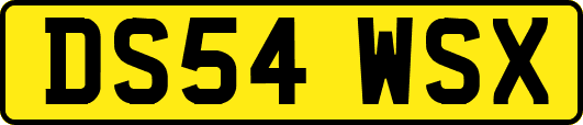 DS54WSX