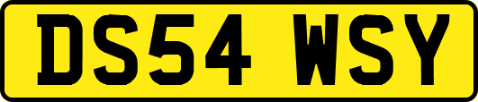 DS54WSY
