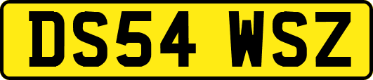 DS54WSZ