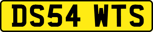 DS54WTS