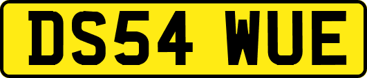 DS54WUE