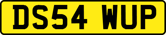 DS54WUP