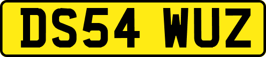 DS54WUZ