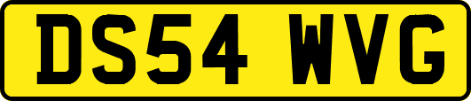 DS54WVG