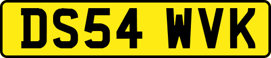 DS54WVK