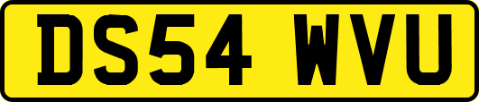 DS54WVU