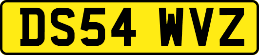 DS54WVZ