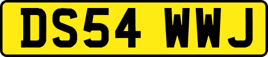 DS54WWJ