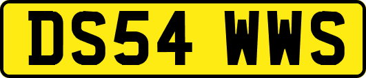 DS54WWS