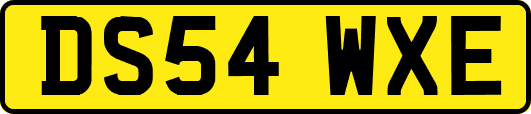DS54WXE