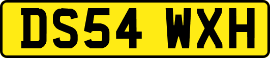 DS54WXH