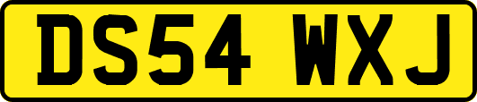 DS54WXJ