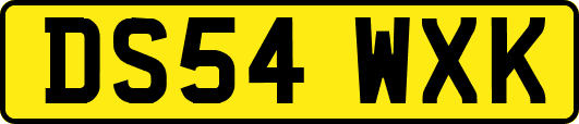 DS54WXK
