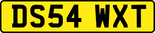 DS54WXT