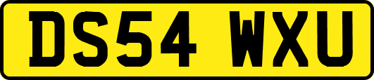 DS54WXU