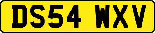 DS54WXV