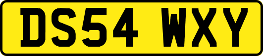 DS54WXY