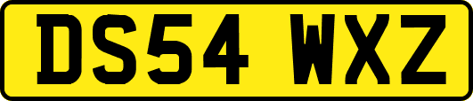 DS54WXZ