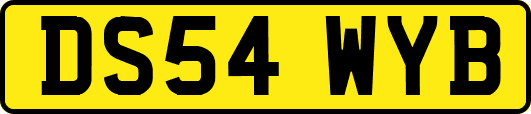 DS54WYB