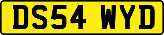 DS54WYD
