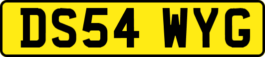 DS54WYG