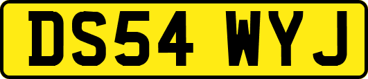 DS54WYJ