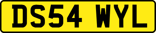 DS54WYL