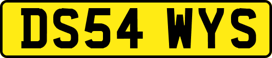 DS54WYS