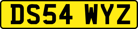 DS54WYZ